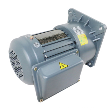 single phase ac motor 230v vertical 1hp 750W ac motor with gear box